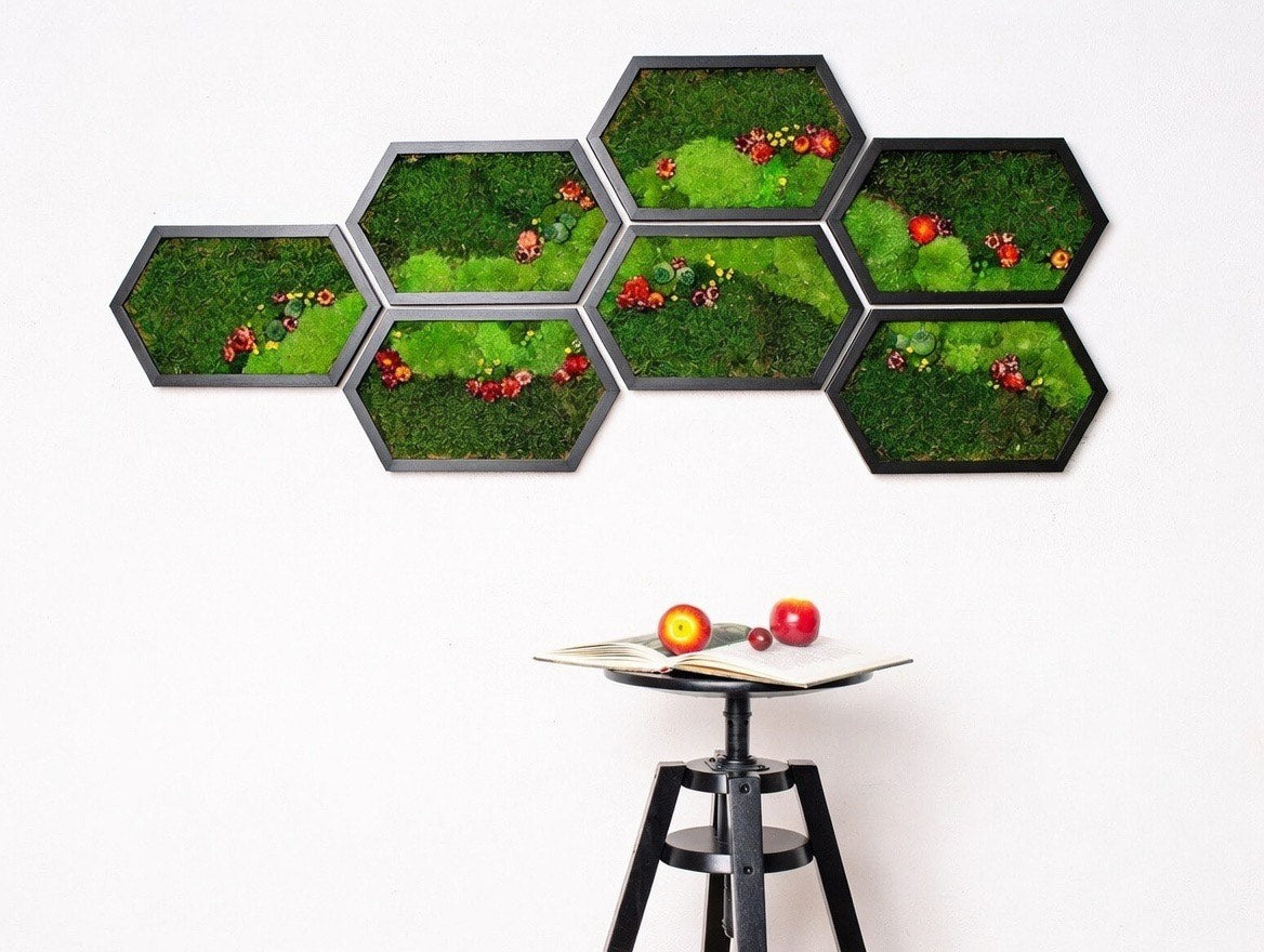 Hexagon Moss Wall Art Green Wall Art Preserved Moss 7 pcs honeycombs
