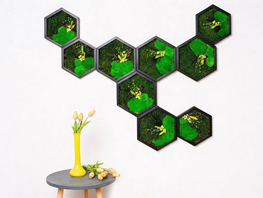 Set of 9 Honeycombs with Preserved Moss Artwork Live Wall Art
