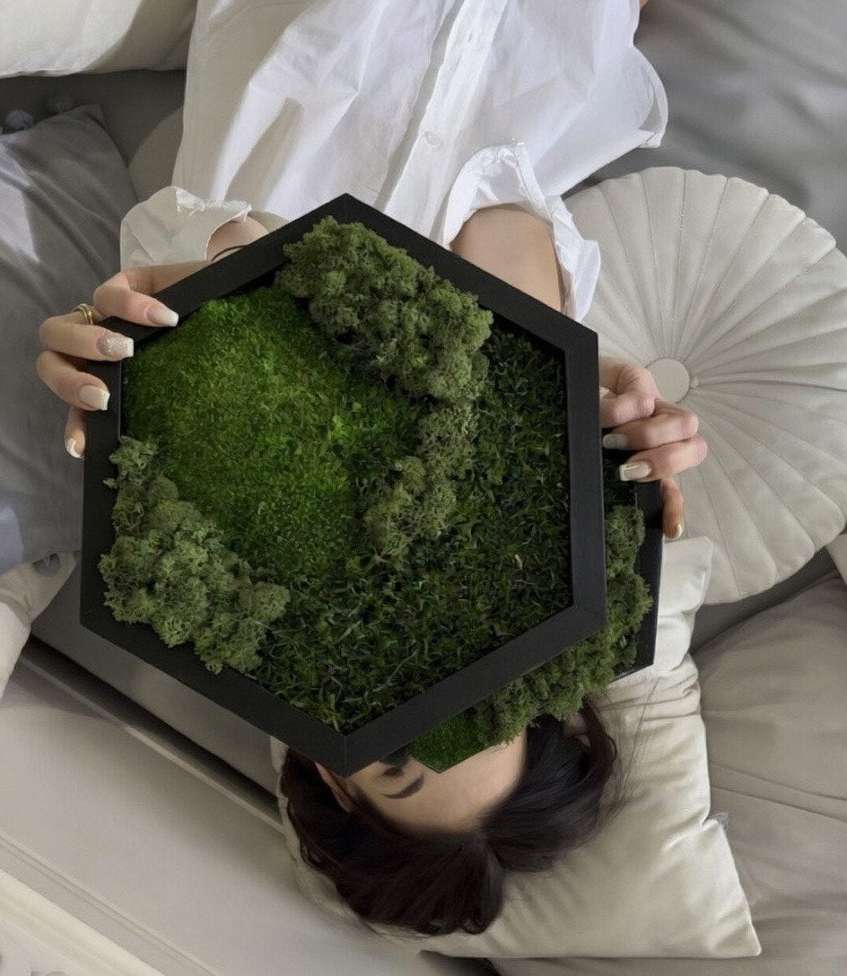 Honeycomb Moss Green Wall Art Preserved Moss Hexagons Housewarming Gift