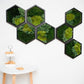 Honeycomb Moss Green Wall Art Preserved Moss Hexagons Housewarming Gift