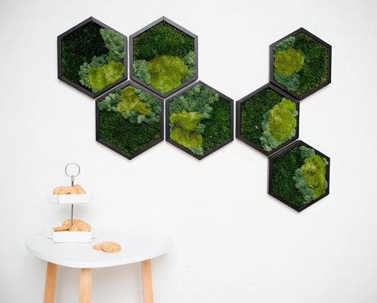 Honeycomb Moss Green Wall Art Preserved Moss Hexagons Housewarming Gift