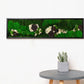 Authentic Preserved Moss Wall Art with LED Lights and Live Moss For Office or Home 1 piece frame