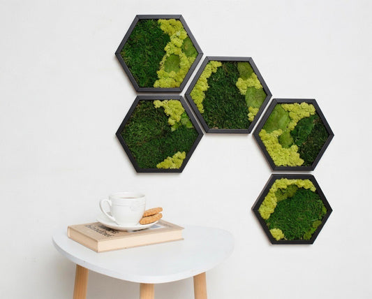 Honeycomb Moss Wall Green Art Preserved Moss Eco-Friendly Decor Housewarming