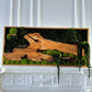 Exclusive Olive  Woods Handmade Plant Artwork | Moss Artwork | Natural Oak and Plants Wall Art | Unique Home Decor Piece | Original LED Wall Art