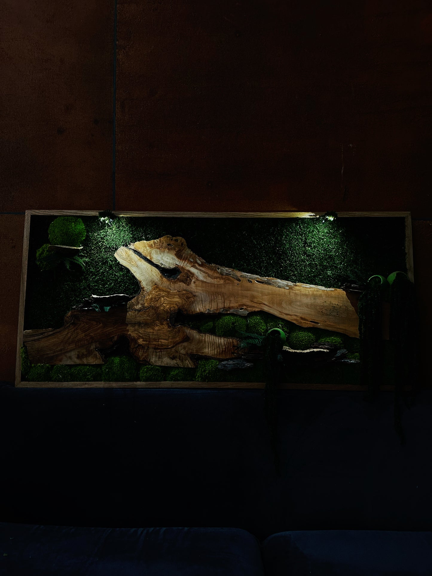 Exclusive Olive  Woods Handmade Plant Artwork | Moss Artwork | Natural Oak and Plants Wall Art | Unique Home Decor Piece | Original LED Wall Art