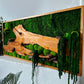 Exclusive Olive  Woods Handmade Plant Artwork | Moss Artwork | Natural Oak and Plants Wall Art | Unique Home Decor Piece | Original LED Wall Art