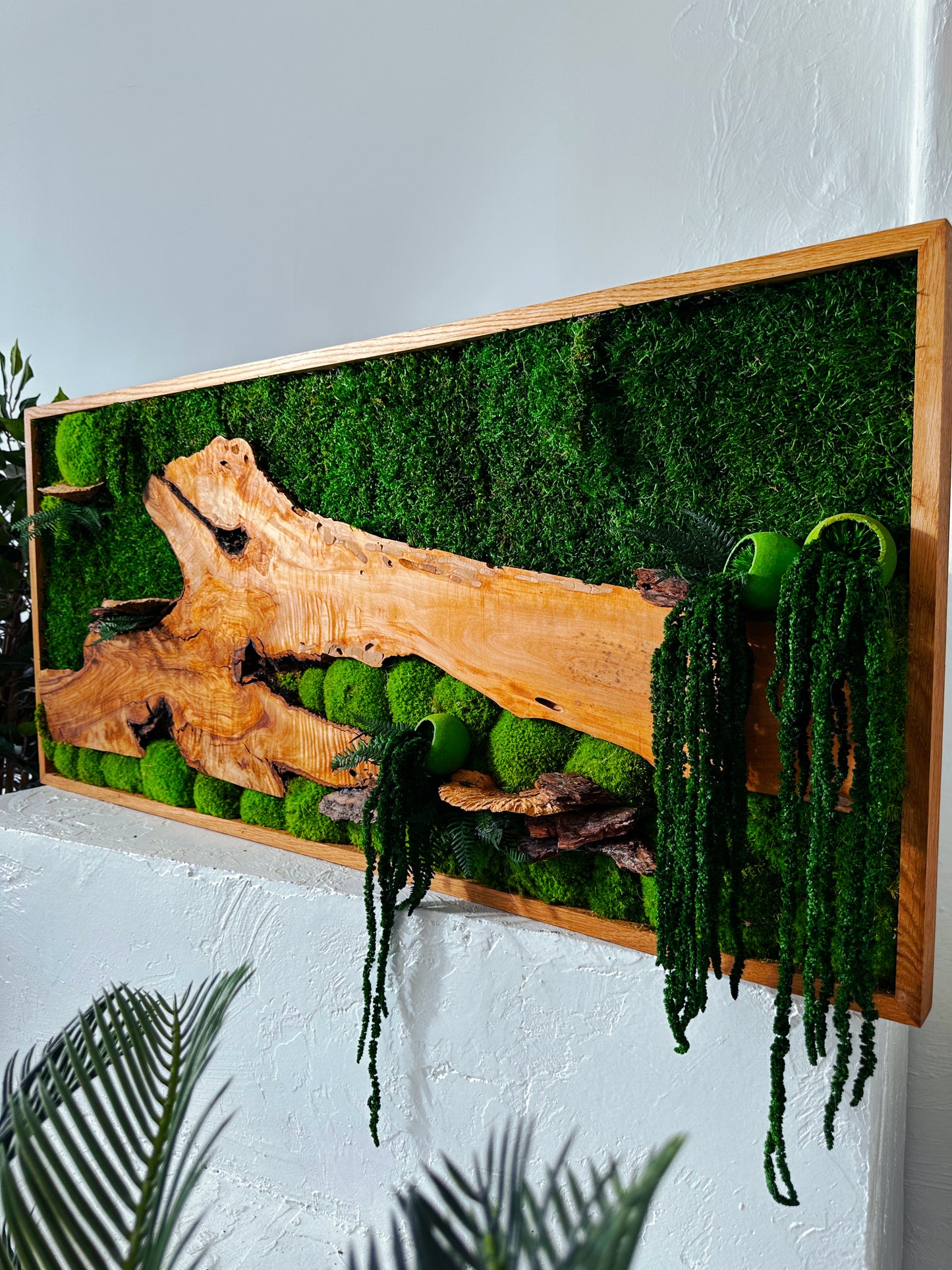 Exclusive Olive  Woods Handmade Plant Artwork | Moss Artwork | Natural Oak and Plants Wall Art | Unique Home Decor Piece | Original LED Wall Art
