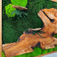 Exclusive Olive  Woods Handmade Plant Artwork | Moss Artwork | Natural Oak and Plants Wall Art | Unique Home Decor Piece | Original LED Wall Art