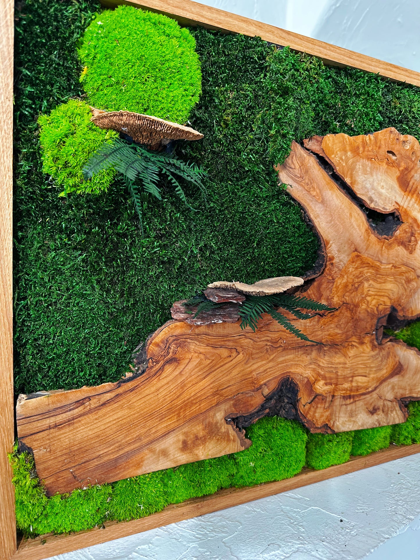 Exclusive Olive  Woods Handmade Plant Artwork | Moss Artwork | Natural Oak and Plants Wall Art | Unique Home Decor Piece | Original LED Wall Art