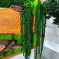 Exclusive Olive  Woods Handmade Plant Artwork | Moss Artwork | Natural Oak and Plants Wall Art | Unique Home Decor Piece | Original LED Wall Art