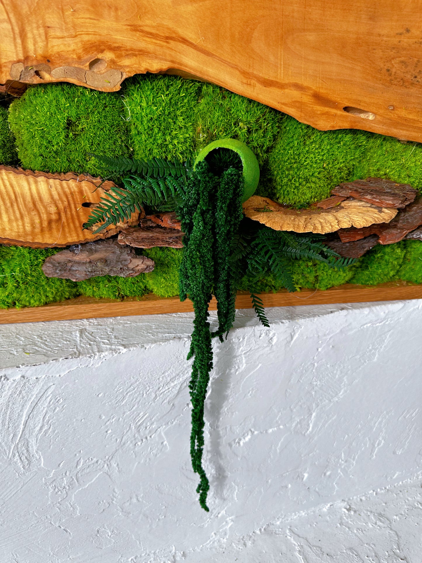 Exclusive Olive  Woods Handmade Plant Artwork | Moss Artwork | Natural Oak and Plants Wall Art | Unique Home Decor Piece | Original LED Wall Art