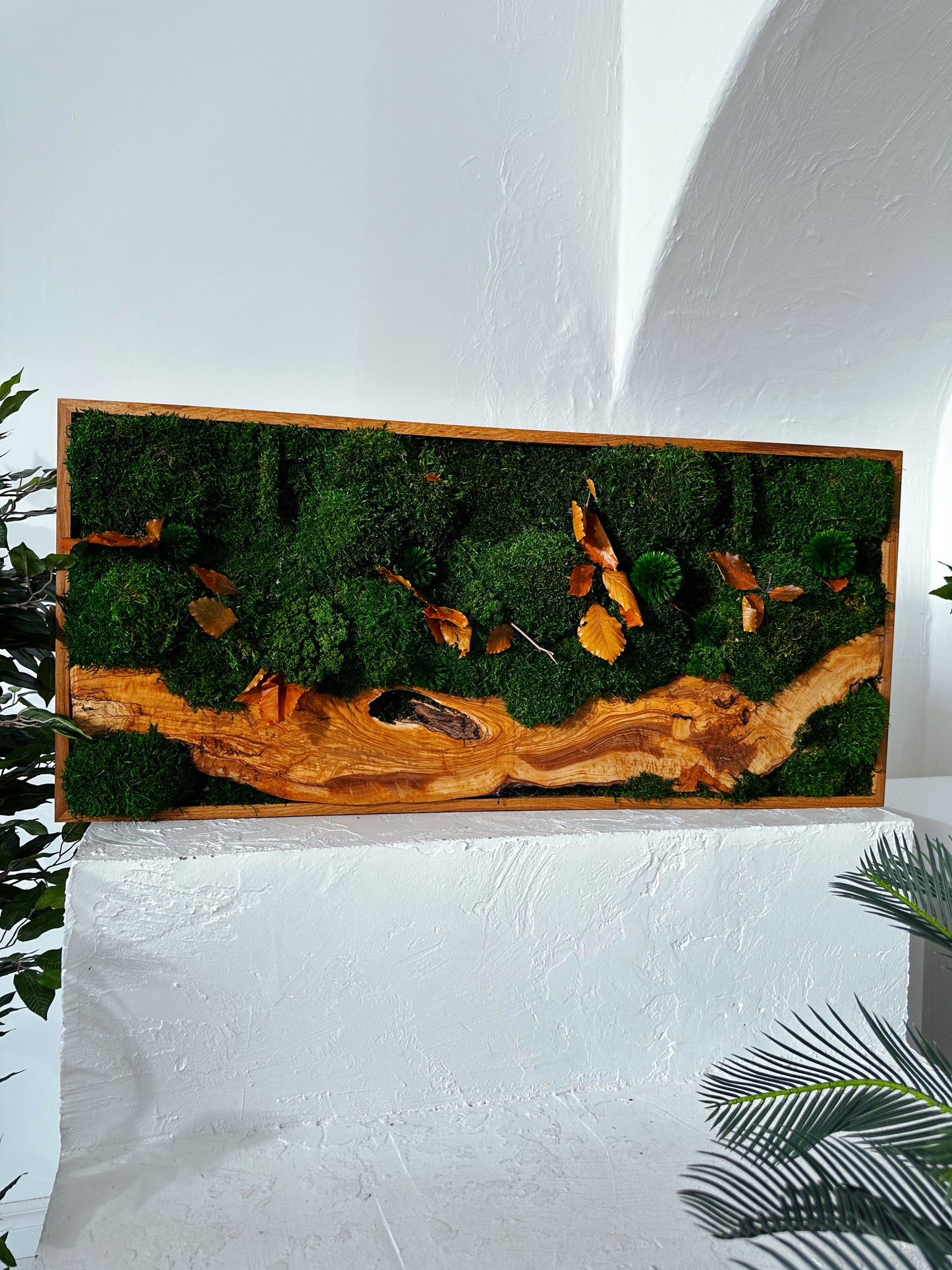 Olive Woods Handmade Plant Artwork | Moss Artwork | Natural Oak and Plants Wall Art | Unique Home Decor Piece | Original LED Wall Art