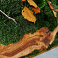 Olive Woods Handmade Plant Artwork | Moss Artwork | Natural Oak and Plants Wall Art | Unique Home Decor Piece | Original LED Wall Art
