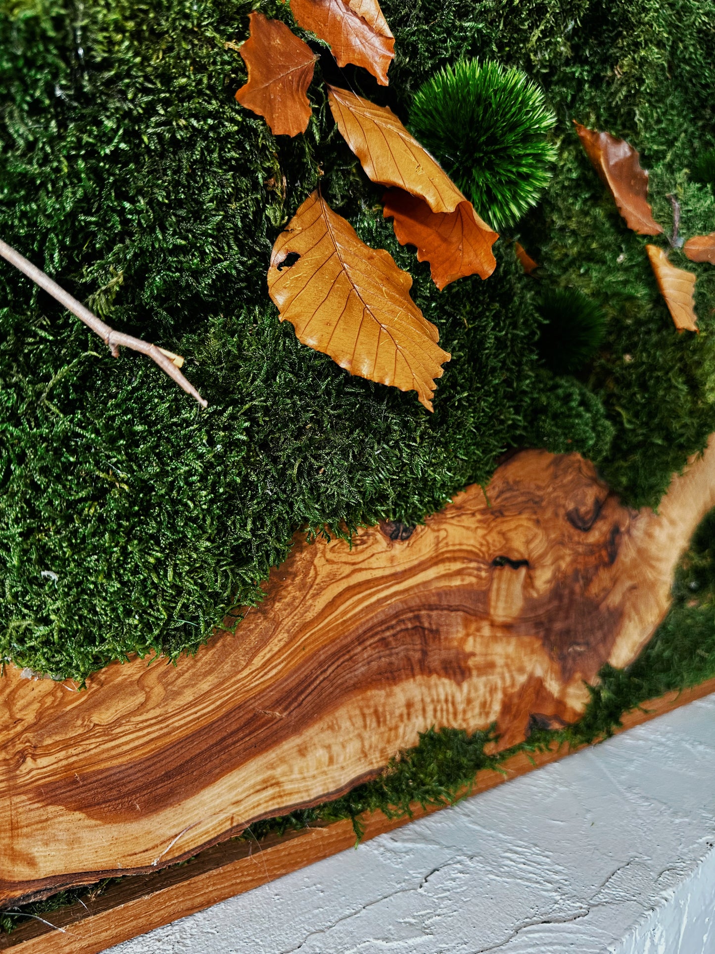 Olive Woods Handmade Plant Artwork | Moss Artwork | Natural Oak and Plants Wall Art | Unique Home Decor Piece | Original LED Wall Art