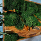 Olive Woods Handmade Plant Artwork | Moss Artwork | Natural Oak and Plants Wall Art | Unique Home Decor Piece | Original LED Wall Art