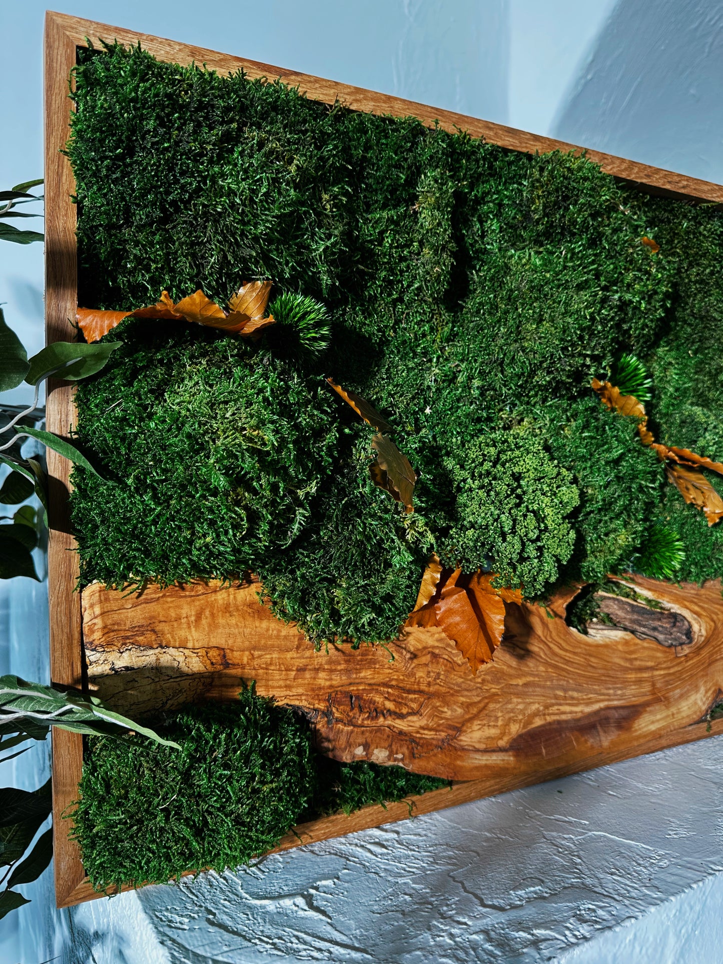 Olive Woods Handmade Plant Artwork | Moss Artwork | Natural Oak and Plants Wall Art | Unique Home Decor Piece | Original LED Wall Art