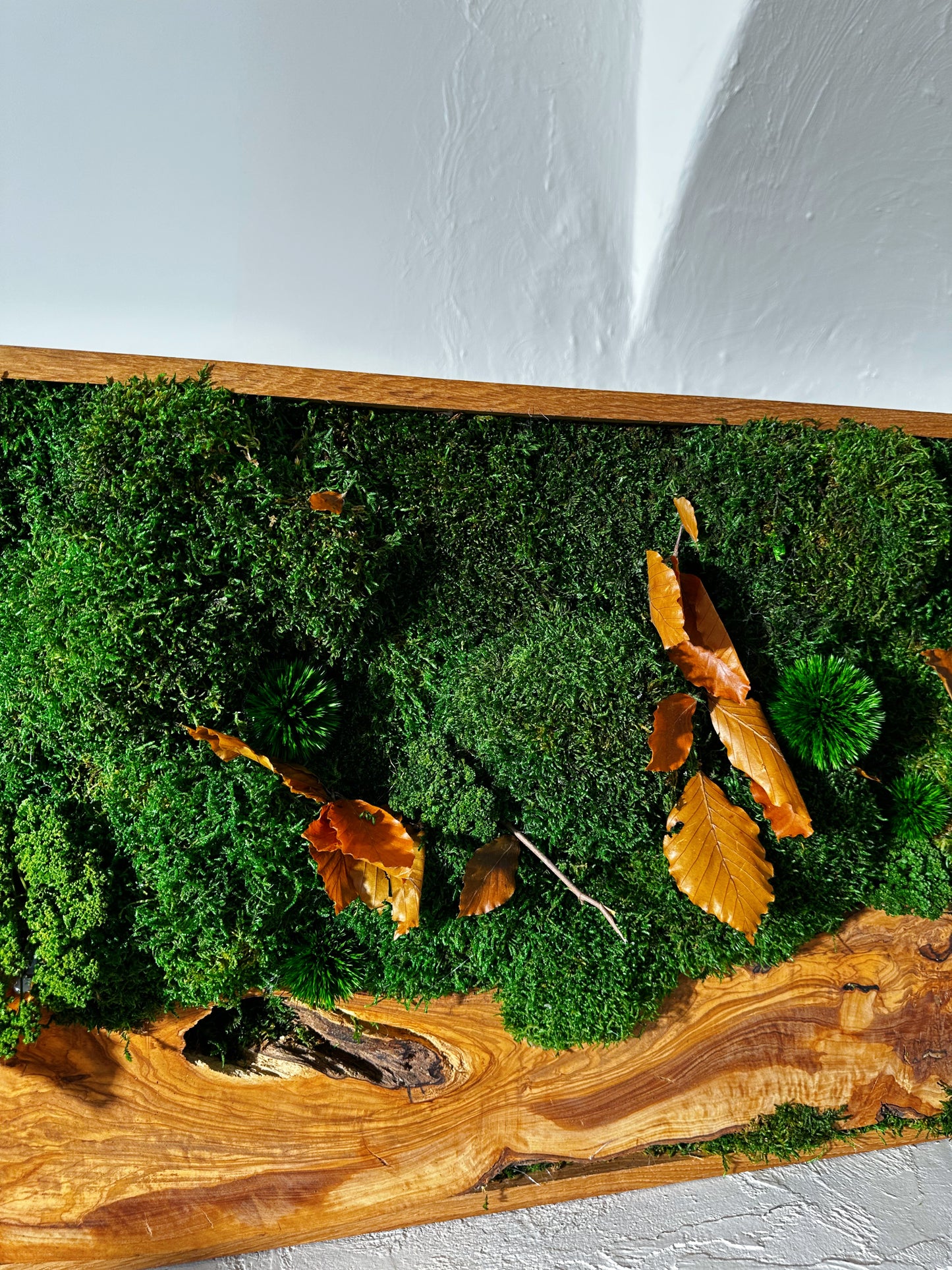 Olive Woods Handmade Plant Artwork | Moss Artwork | Natural Oak and Plants Wall Art | Unique Home Decor Piece | Original LED Wall Art