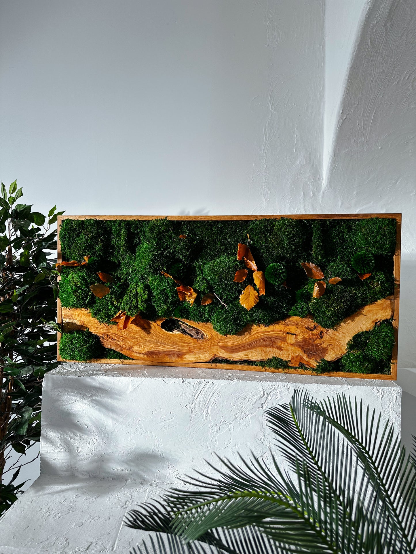 Olive Woods Handmade Plant Artwork | Moss Artwork | Natural Oak and Plants Wall Art | Unique Home Decor Piece | Original LED Wall Art
