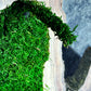 New White Olive Wood LED-Backlit Preserved Moss Art: Eco-Friendly, Green Wall Decor for Home