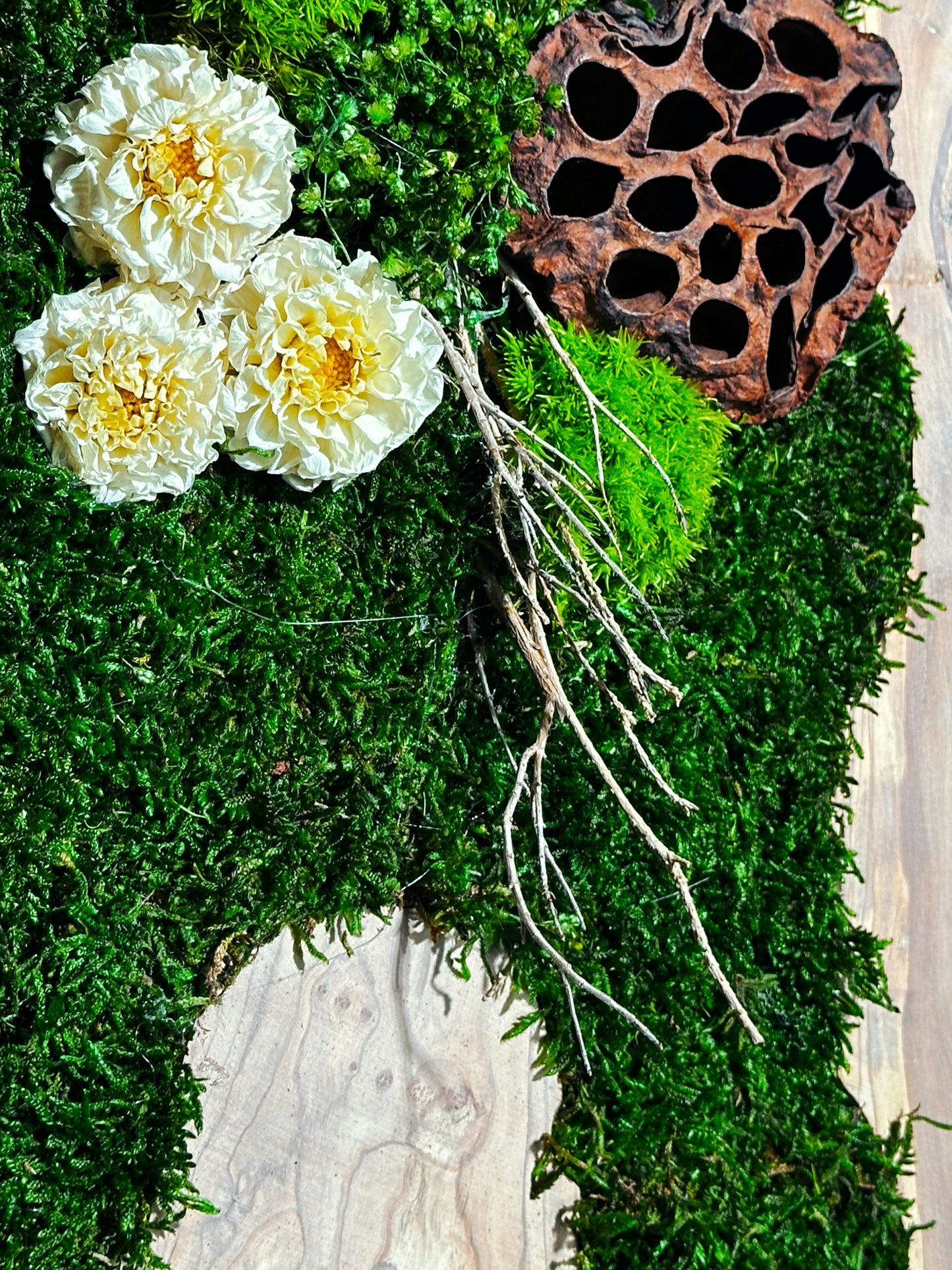 New White Olive Wood LED-Backlit Preserved Moss Art: Eco-Friendly, Green Wall Decor for Home