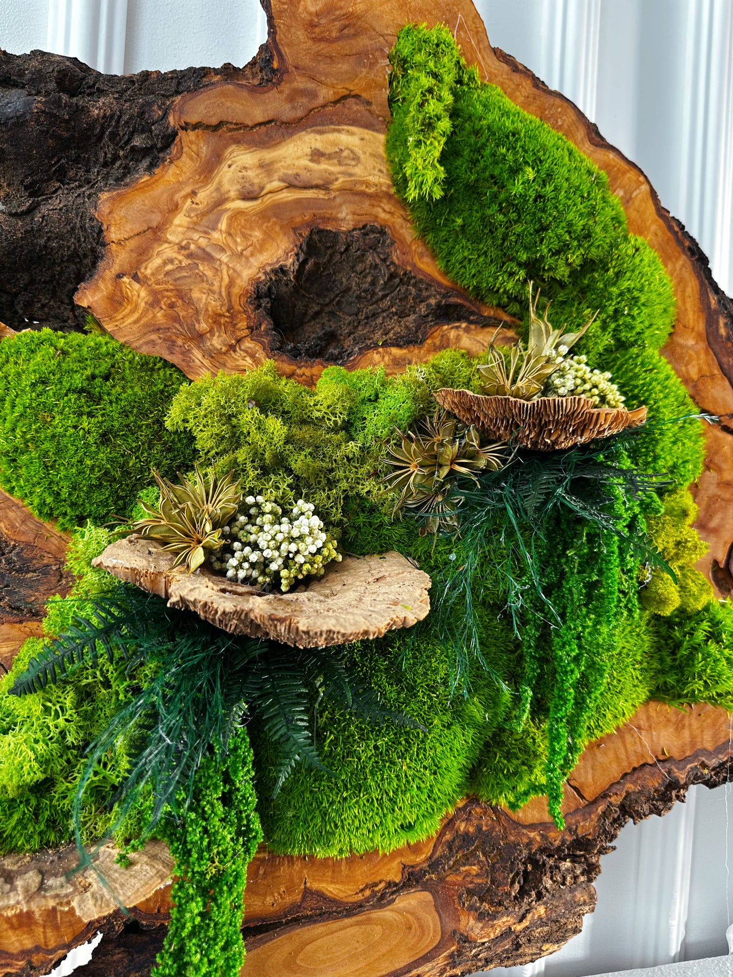 Beautiful Exclusive Preserved Moss On Olive Wood Artwork with LED Lights Live Moss LED Wall Art Preserved Moss