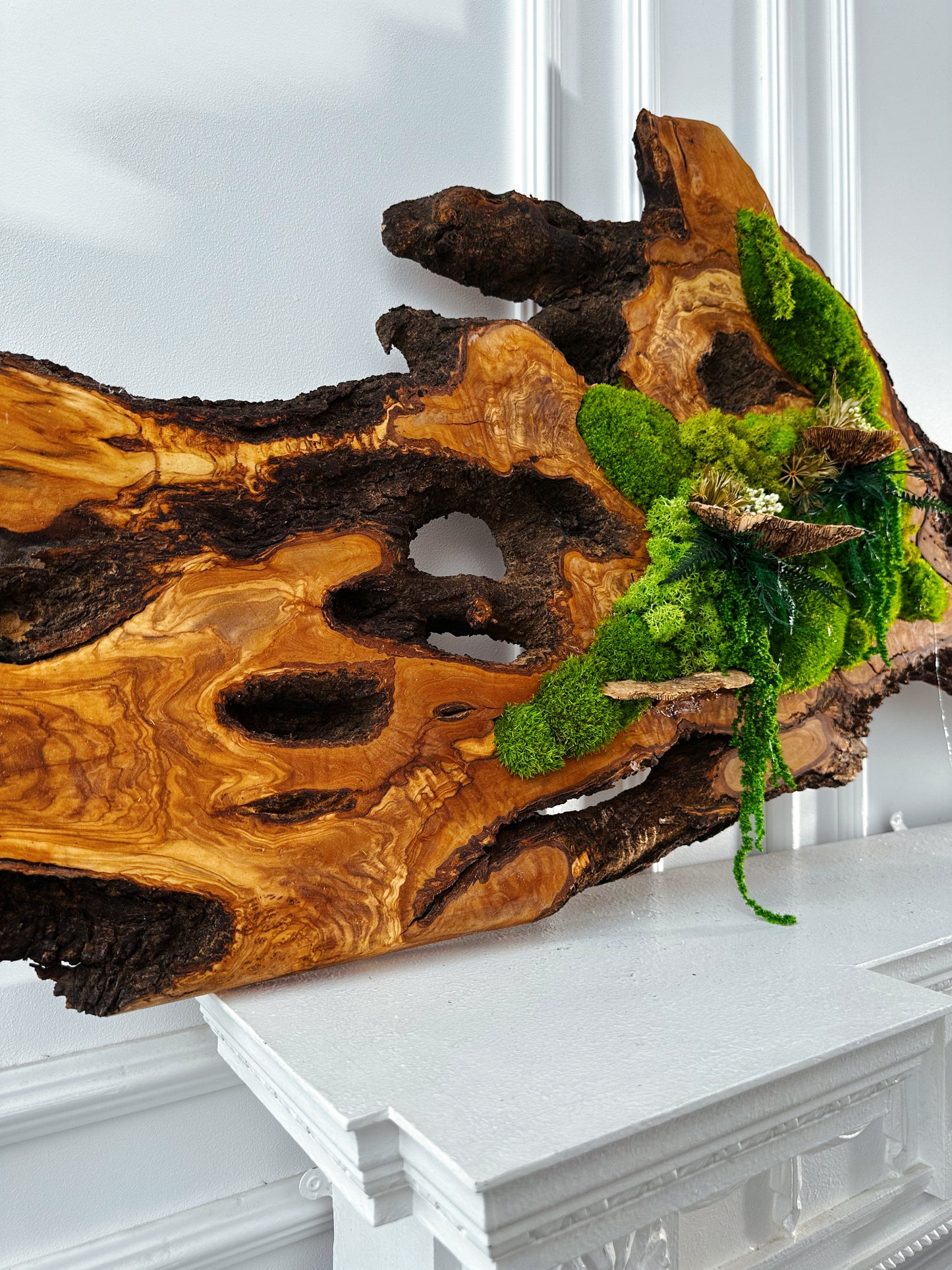 Beautiful Exclusive Preserved Moss On Olive Wood Artwork with LED Lights Live Moss LED Wall Art Preserved Moss