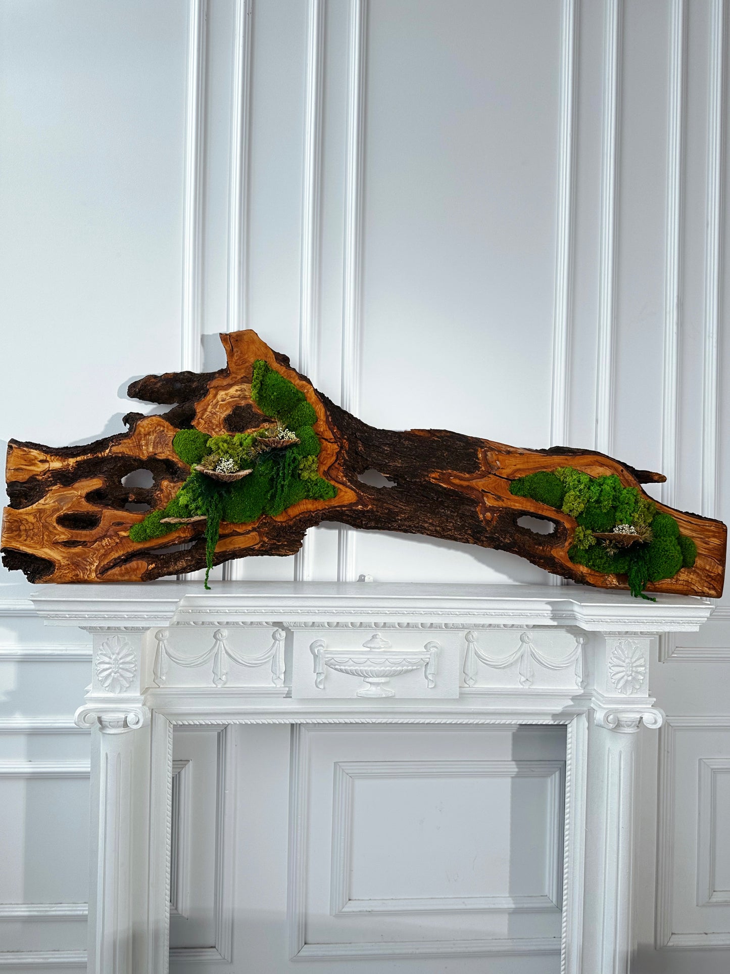 Beautiful Exclusive Preserved Moss On Olive Wood Artwork with LED Lights Live Moss LED Wall Art Preserved Moss