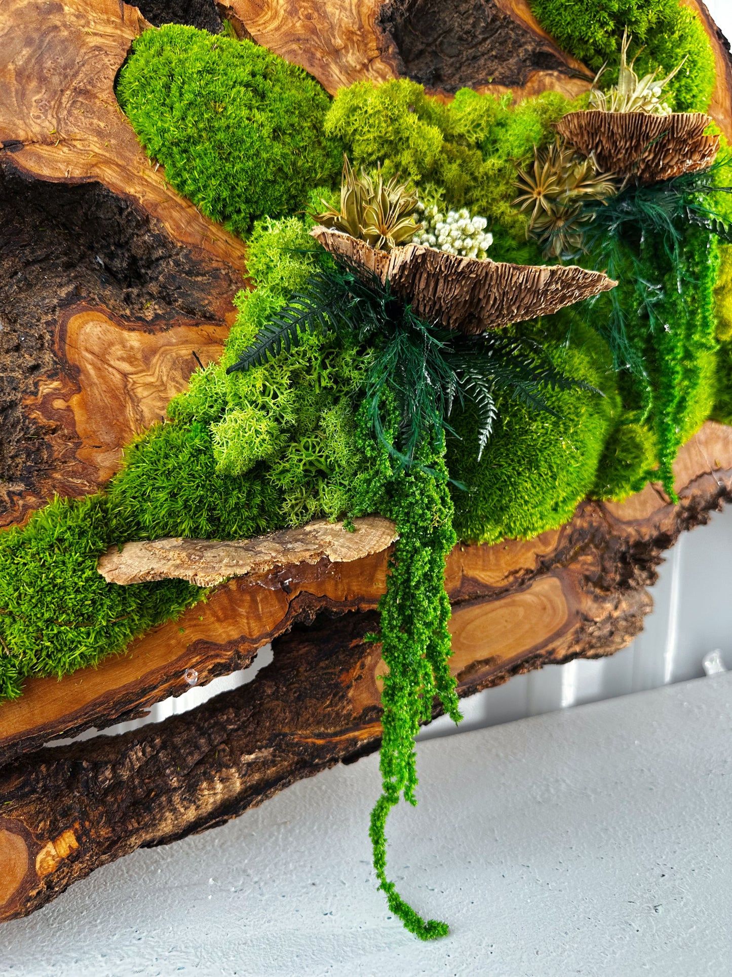 Beautiful Exclusive Preserved Moss On Olive Wood Artwork with LED Lights Live Moss LED Wall Art Preserved Moss