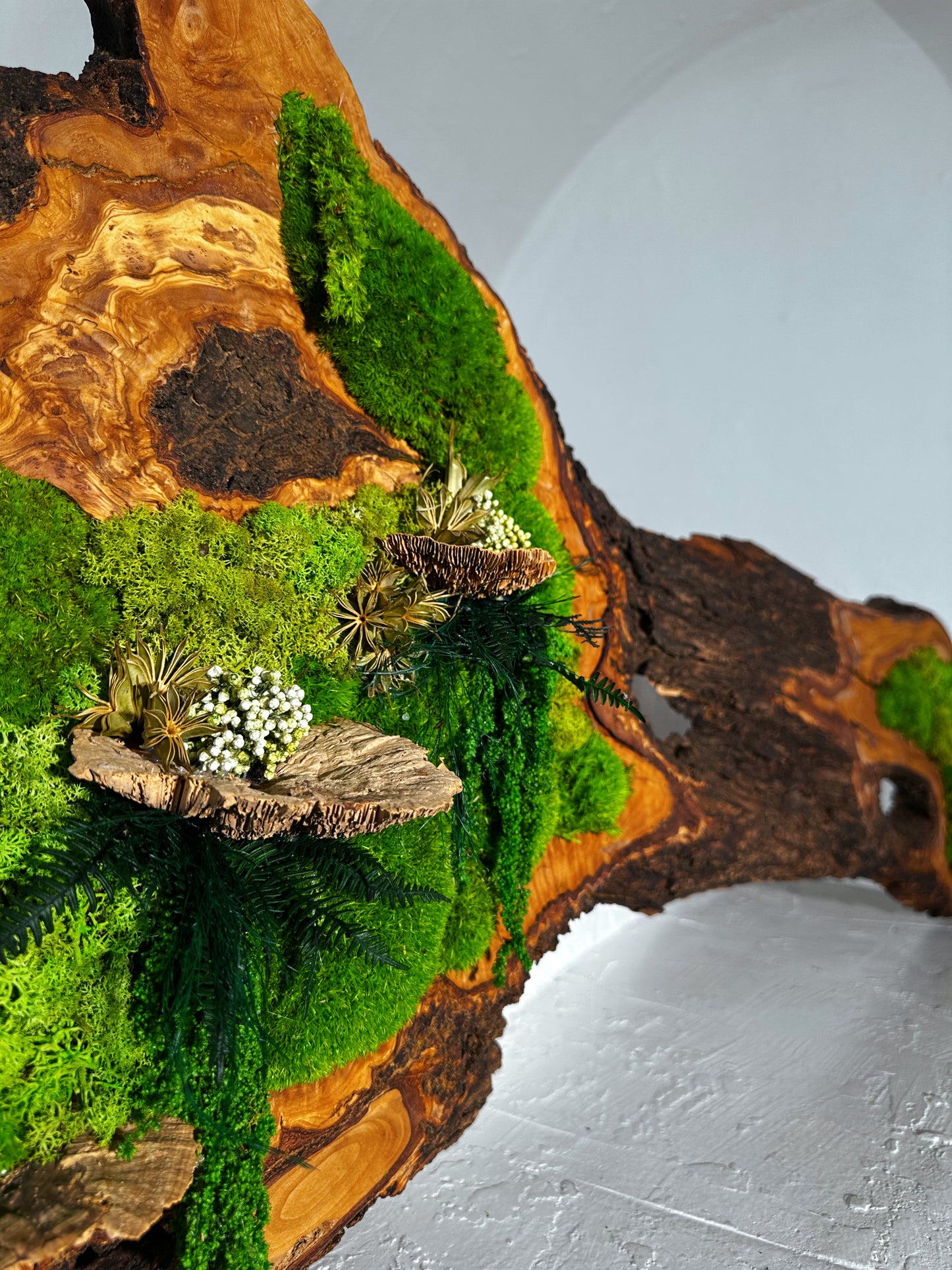 Beautiful Exclusive Preserved Moss On Olive Wood Artwork with LED Lights Live Moss LED Wall Art Preserved Moss