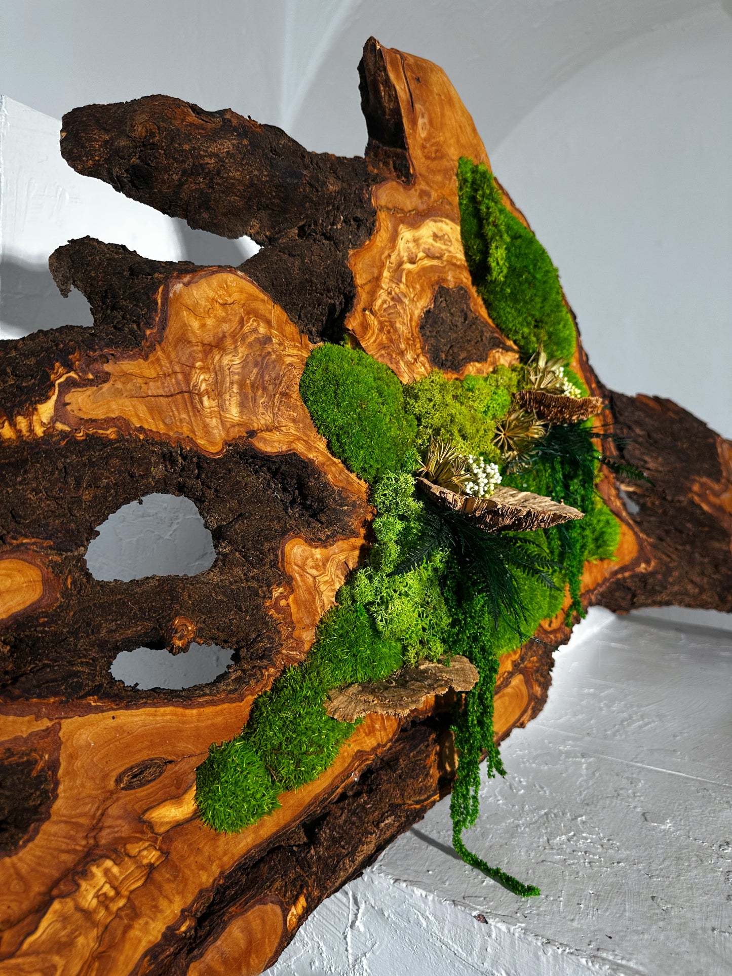 Beautiful Exclusive Preserved Moss On Olive Wood Artwork with LED Lights Live Moss LED Wall Art Preserved Moss