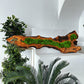 Beautiful Preserved Moss On Olive Wood Artwork with LED Lights Live Moss LED Wall Art Preserved Moss