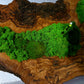 Beautiful Preserved Moss On Olive Wood Artwork with LED Lights Live Moss LED Wall Art Preserved Moss