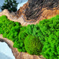 Beautiful Preserved Moss On Olive Wood Artwork with LED Lights Live Moss LED Wall Art Preserved Moss