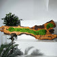 Beautiful Preserved Moss On Olive Wood Artwork with LED Lights Live Moss LED Wall Art Preserved Moss