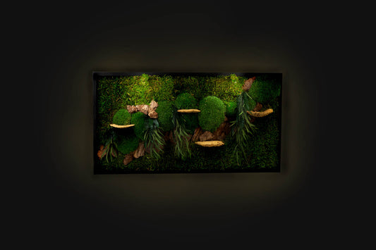 Lovely Green Wall Art Preserved Moss Artwork with LED Lights Moss LED Wall Art Preserved Moss Lighted Moss Wall Art Framed Plant Home Decor