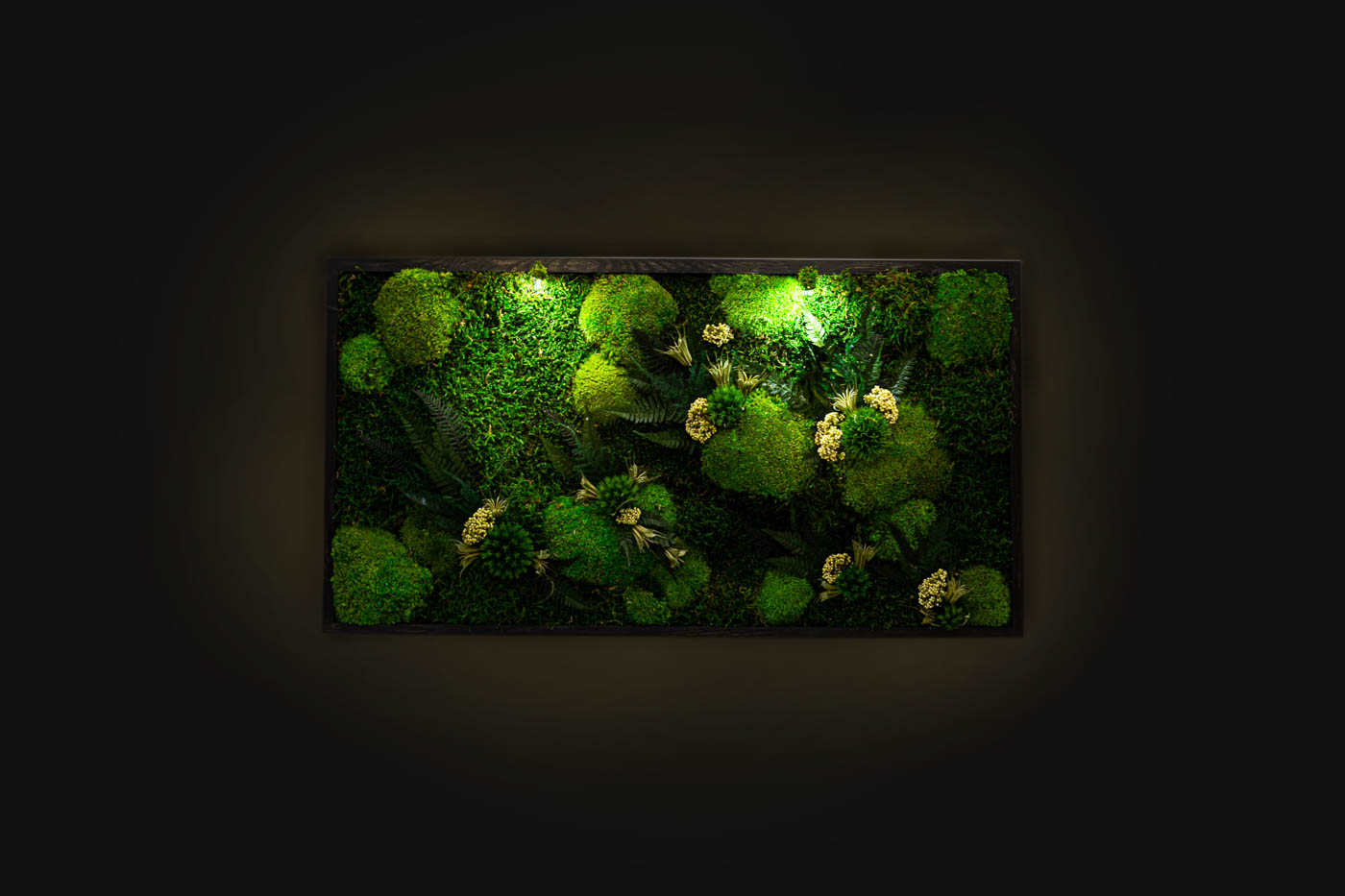 Beautiful Preserved Moss Artwork with LED Lights Live Moss LED Wall Art Preserved Moss