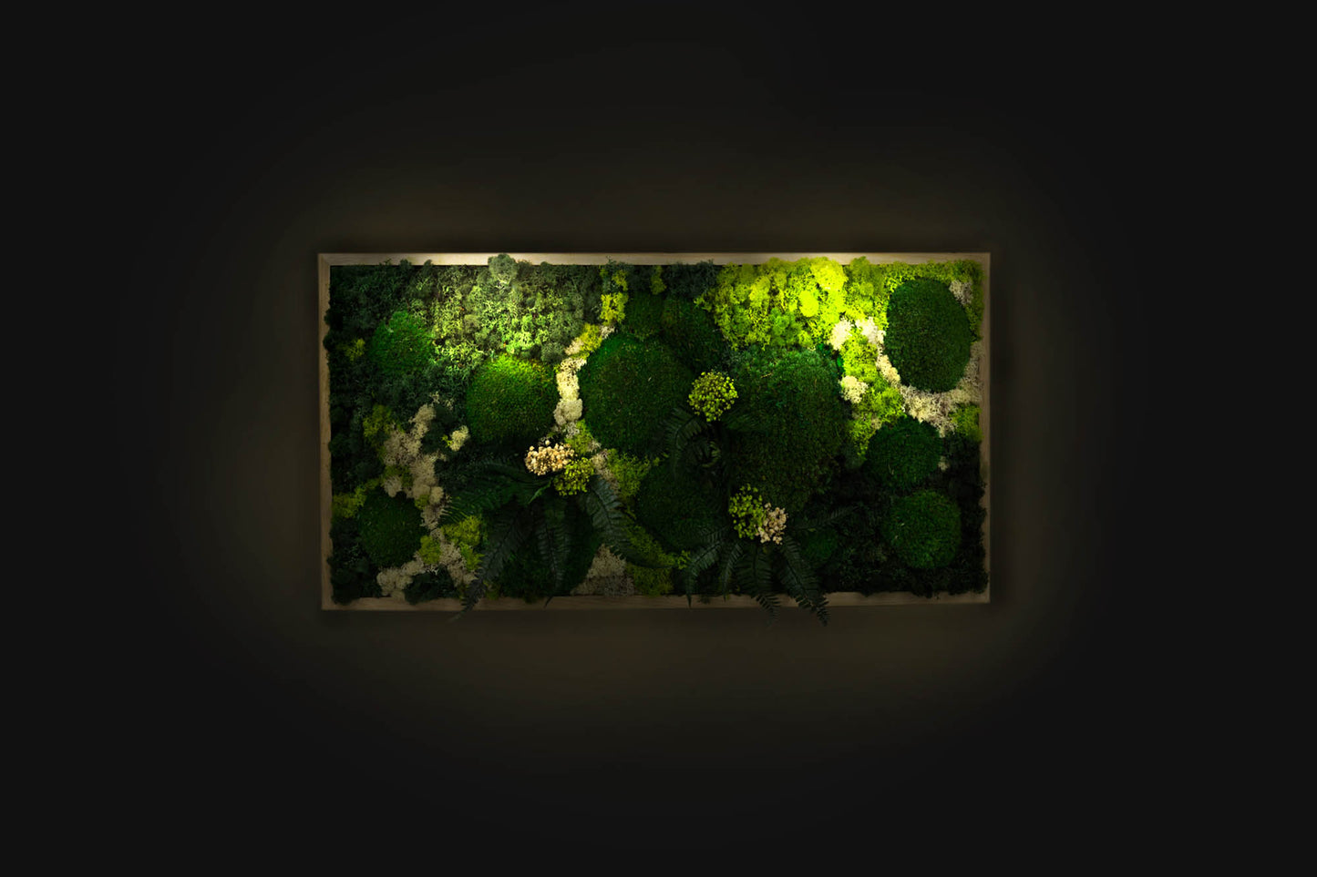 Gorgeous Moss Wall Art Greenery with LED Lights Live Moss LED Artwork Preserved Moss Lighted Framed Preserved Moss Wall Art Home Decoration