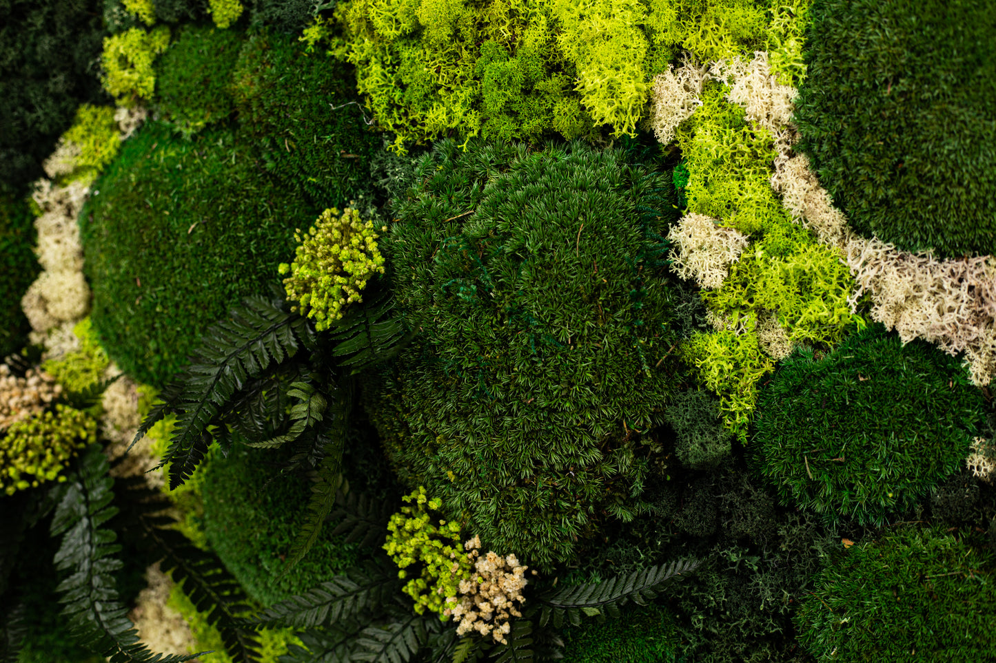 Gorgeous Moss Wall Art Greenery with LED Lights Live Moss LED Artwork Preserved Moss Lighted Framed Preserved Moss Wall Art Home Decoration