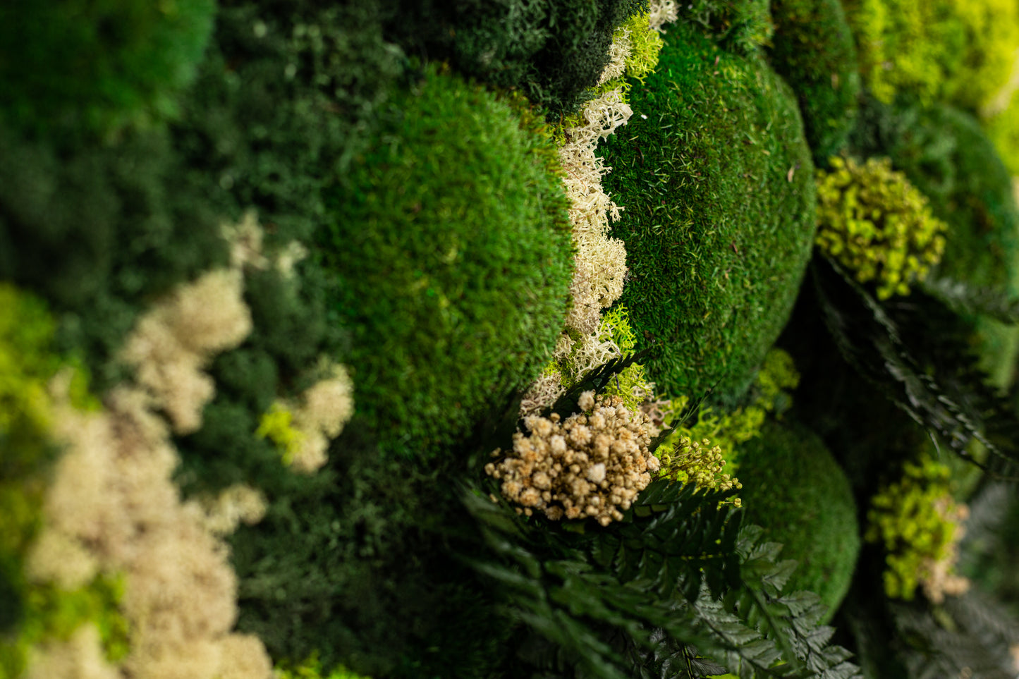 Gorgeous Moss Wall Art Greenery with LED Lights Live Moss LED Artwork Preserved Moss Lighted Framed Preserved Moss Wall Art Home Decoration