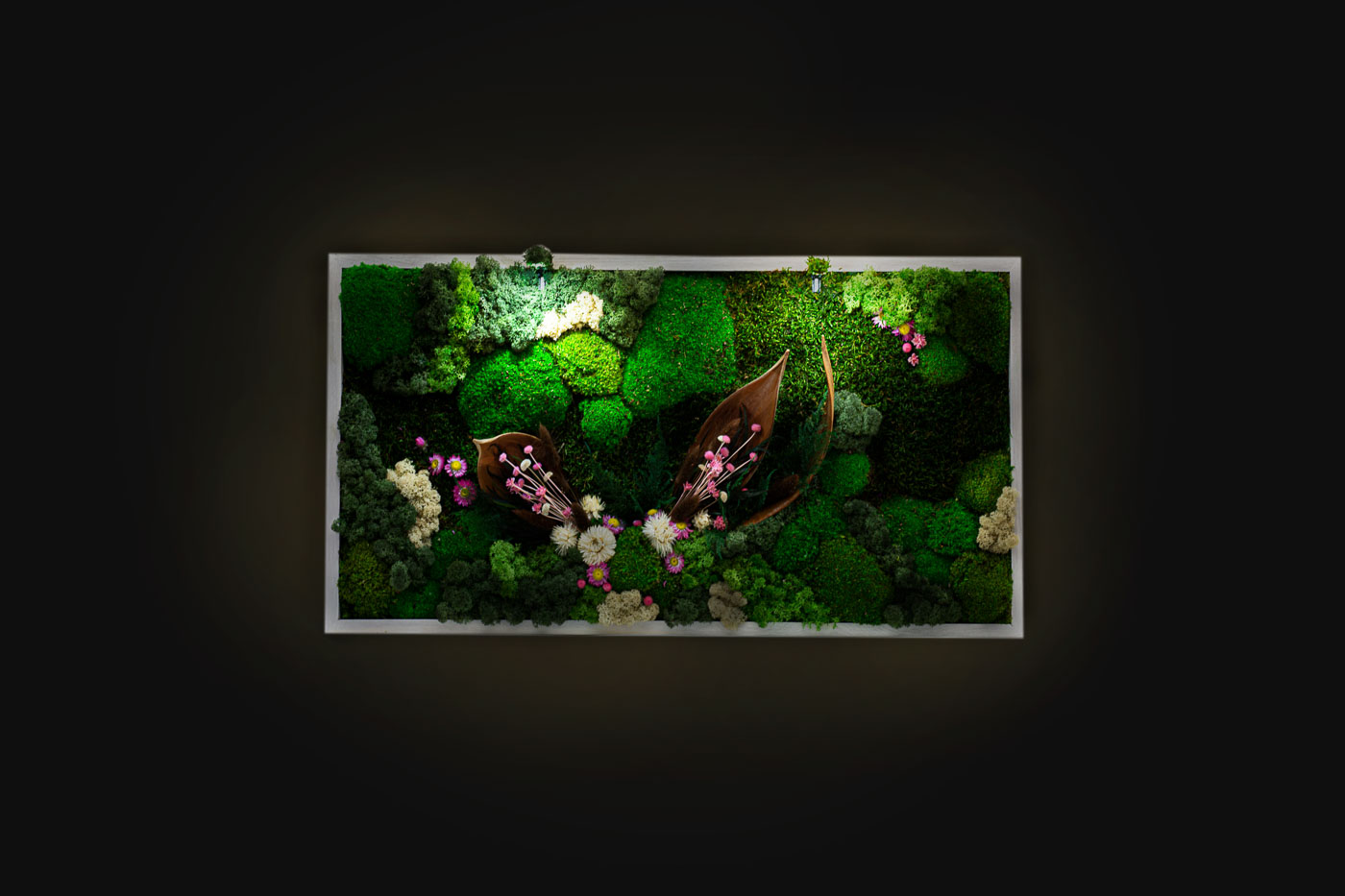 Stunning Preserved Moss Art with LED Lights Live Moss LED Artwork Lighted Framed