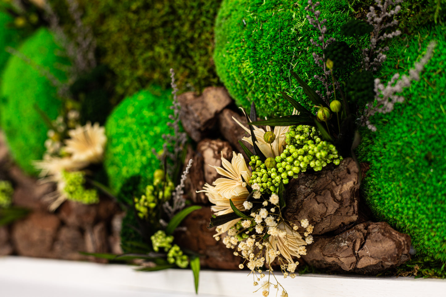 Stunning Green Wall Décor Preserved Moss Wall Art with LED Lights Preserved Moss LED Wall Hanging Framed Plant Home Interior Gift for Home