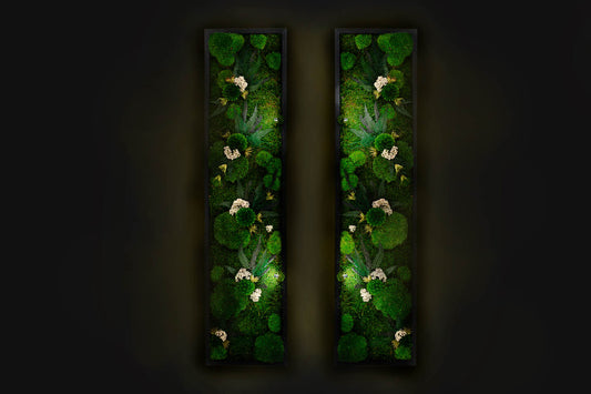 Beautiful Preserved Moss Artwork with LED Lights and Live Moss For Office or Home Decor 2 piece frames