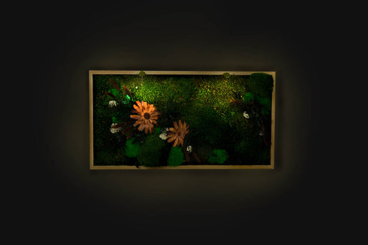 Premium Preserved Moss Wall Art Green Wall Décor with LED Lights Moss LED Wall Hanging Framed Plant Green Room Interior Housewarming Gift