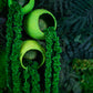 NEW!! Wall Art Preserved Moss Lighted Framed Beautiful Preserved Moss Artwork with LED Lights Live Moss LED Moss Wall Art Eco-Friendly Decor