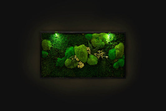 4 dideli kupstai daiva