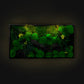 Vibrant Preserved Moss Wall Art Green Wall Décor with LED Lights Moss LED Wall Hanging Framed Plant Green Room Interior Housewarming Gift