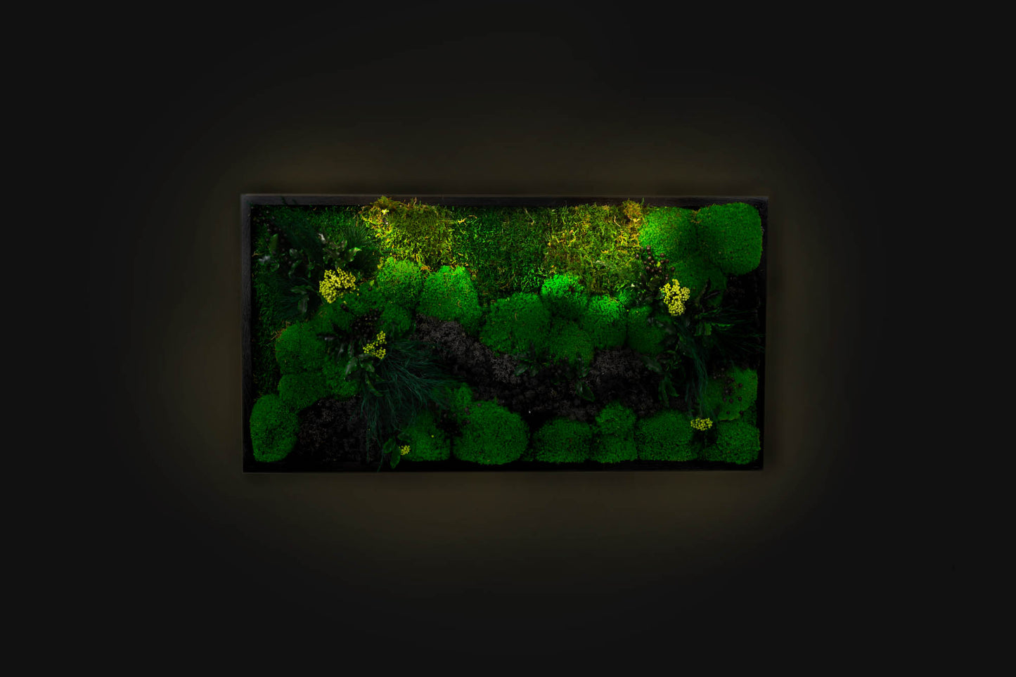 Vibrant Preserved Moss Wall Art Green Wall Décor with LED Lights Moss LED Wall Hanging Framed Plant Green Room Interior Housewarming Gift