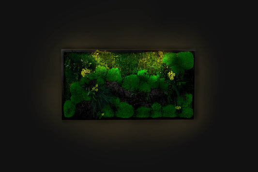 Vibrant Preserved Moss Wall Art Green Wall Décor with LED Lights Moss LED Wall Hanging Framed Plant Green Room Interior Housewarming Gift