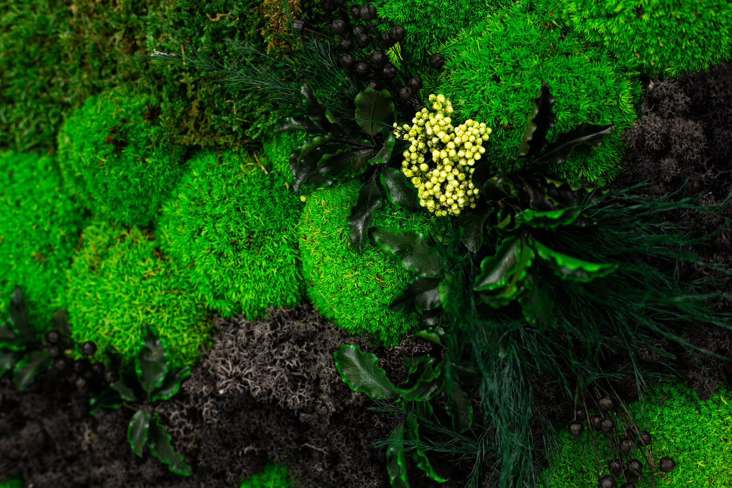 Vibrant Preserved Moss Wall Art Green Wall Décor with LED Lights Moss LED Wall Hanging Framed Plant Green Room Interior Housewarming Gift