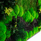 Vibrant Preserved Moss Wall Art Green Wall Décor with LED Lights Moss LED Wall Hanging Framed Plant Green Room Interior Housewarming Gift